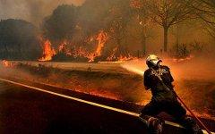 Фото с сайта introgis.com