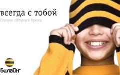 Астраханский губернатор обвинил «Билайн» в помощи мошенникам. Фото: beeline.ru
