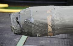 Пробосборник с илом. Фото с сайта sciencemag.org