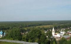 Деревня Домнино. Фото: pycckux.livejournal.com