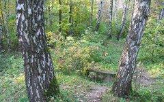 Битцевский парк. Фото с сайта szst.ru