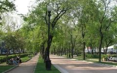 Тверской бульвар. Фото с сайта tushinec.ru