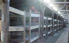 Жилой барак Освенцима. Фото с сайта ru.wikipedia.org