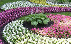 Фото с сайта flowershowmoscow.ru