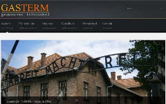 Скриншот с сайта компании GasTerm
