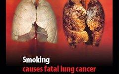 Фото с сайта smoke-free.ca
