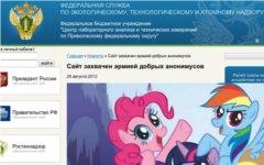 Скриншот с сайта организации Ростехнадзора.