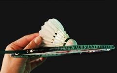 Фото с сайта badminton.ru