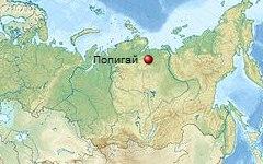 Фото с сайта wikipedia.org