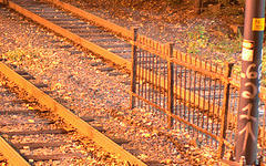 Фото с сайта flickr.com