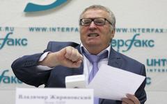Владимир Жириновский © KM.RU, Алексей Белкин
