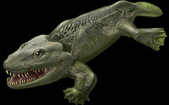 3D-реконструкция ихтиостеги. Изображение с сайта discovery.com