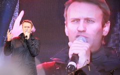 Алексей Навальный © KM.RU, Александра Воздвиженская