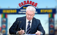 Сергей Собянин. Коллаж © KM.RU