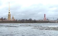 Кадр телеканала Russia Today