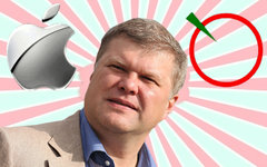 Сергей Митрохин. Коллаж © KM.RU