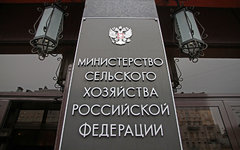 © KM.RU, Илья Шабардин