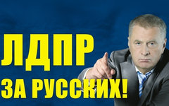 Изображение с сайта ldpr.ru
