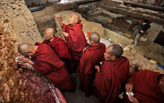 Фото с сайта nationalgeographic.com