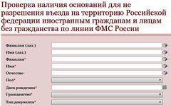 Скриншот онлайн-сервиса на сайте fms.gov.ru