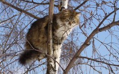 Фото с сайта moisovety.ru