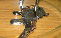 Фото с сайта wikimedia.org