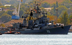 «Сметливый». Фото с сайта wikimedia.org