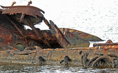 Фото с сайта wikimedia.org