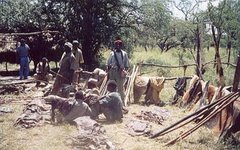 Лагерь браконьеров. Фото с сайта tanzaniabiggame.com