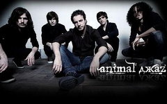 Animal ДжаZ. Фото с офстраницы группы ВКонтакте