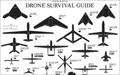 Изображение с сайта dronesurvivalguide.org