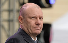 Владимир Потанин © РИА Новости, Михаил Мокрушин