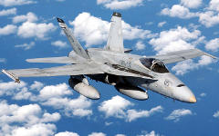 Истребитель F/A-18 Hornet. Фото с сайта defenselink.mil