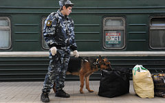 Кинолог у поезда «Душанбе-Москва» © РИА Новости, Антон Белицкий