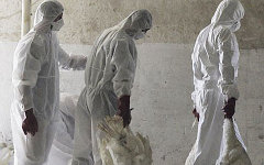 Фото с сайта theecologist.org