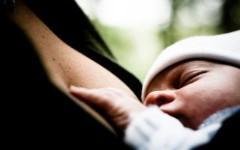 Фото с сайта freepik.com