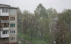 Фото с сайта vk.com