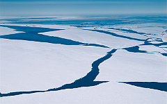 Фото с сайта 10wallpaper.com