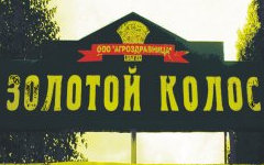 Фото из группы лагеря «ВКонтакте»