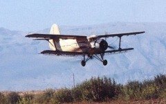 Самолет Ан-2. Фото с сайта sibnet.ru