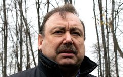 Геннадий Гудков © KM.RU, Филипп Киреев