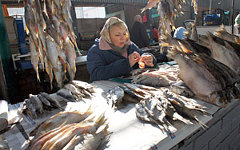Фото с сайта fish.gov.ru