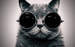 Фото с сайта wot-lol.ru 