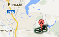 Деревня Вассынки. Изображение сервиса Google Maps