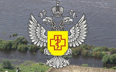 Коллаж © KM.RU