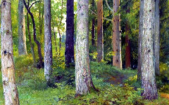 Фрагмент Картины Ивана Шишкина «Лес. Ели»