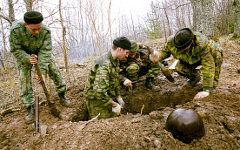 Захоронение останков солдат, погибших в ВОВ © РИА Новости, Юрий Пирогов