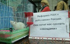 Митинг РАН у здания Госдумы © KM.RU, Алексей Белкин