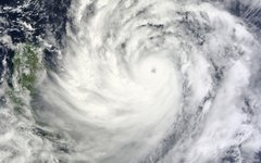 Фото с сайта svit24.net