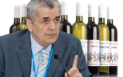 Геннадий Онищенко. Коллаж © KM.RU